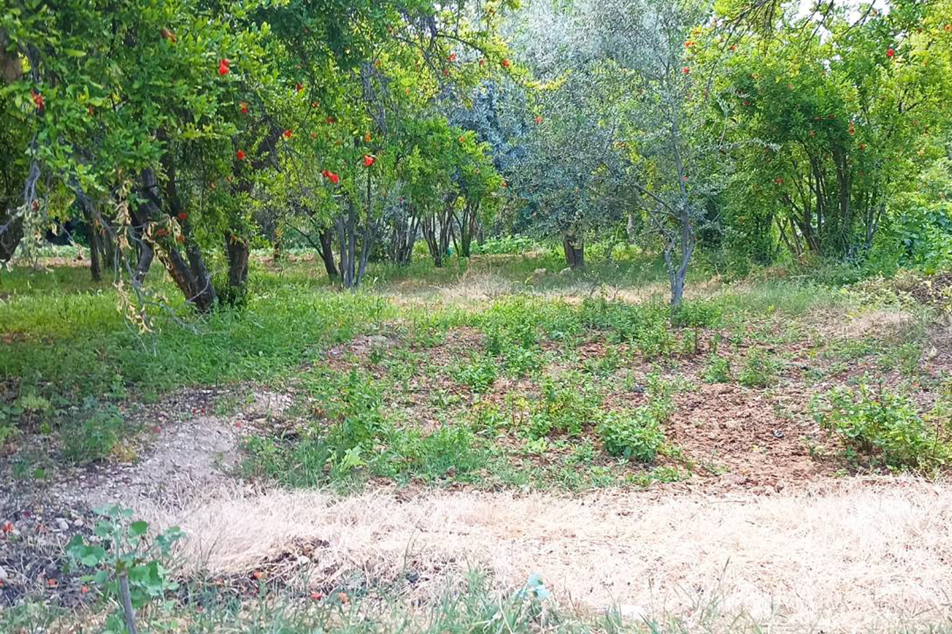 Kuruyan dereler doldu, tabiat yeniden canlandı