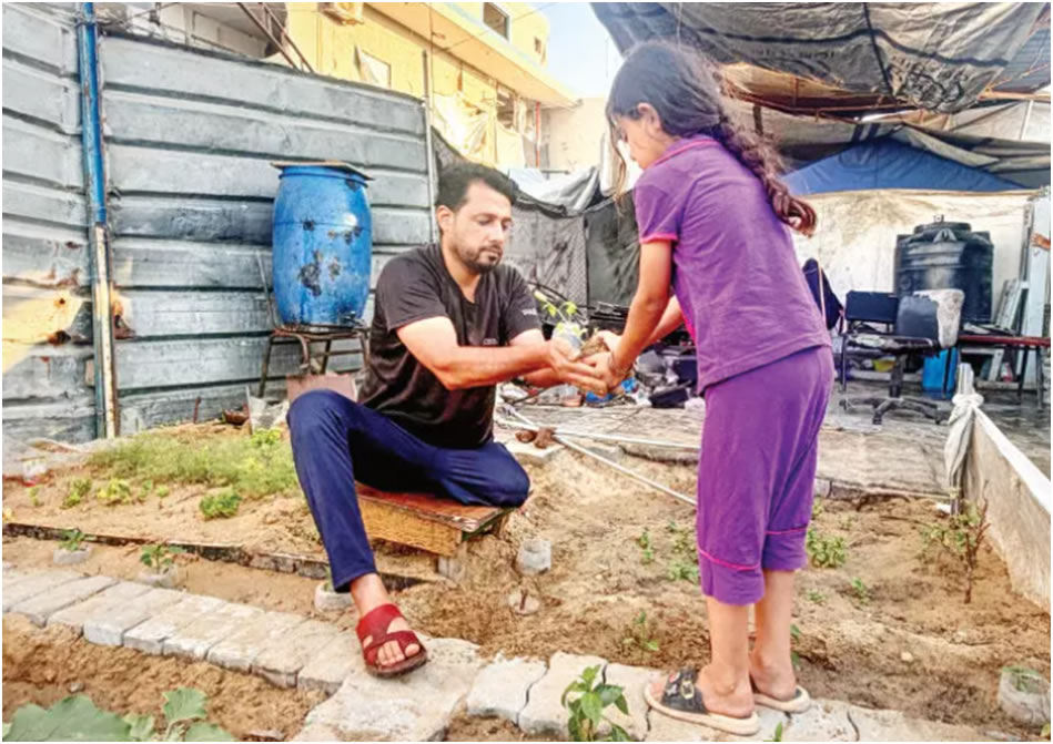 Enkazlar arasında bir bahçe