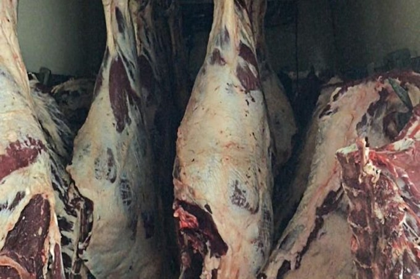 Sakarya’da tüketime uygun olmayan 1,8 ton et imha edildi