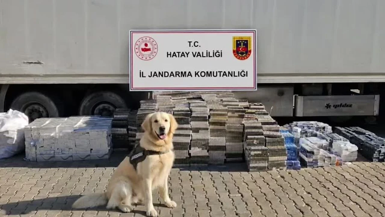 Bir TIR'da milyonlarca lira değerinde 30 bin paket kaçak sigara ele geçirildi