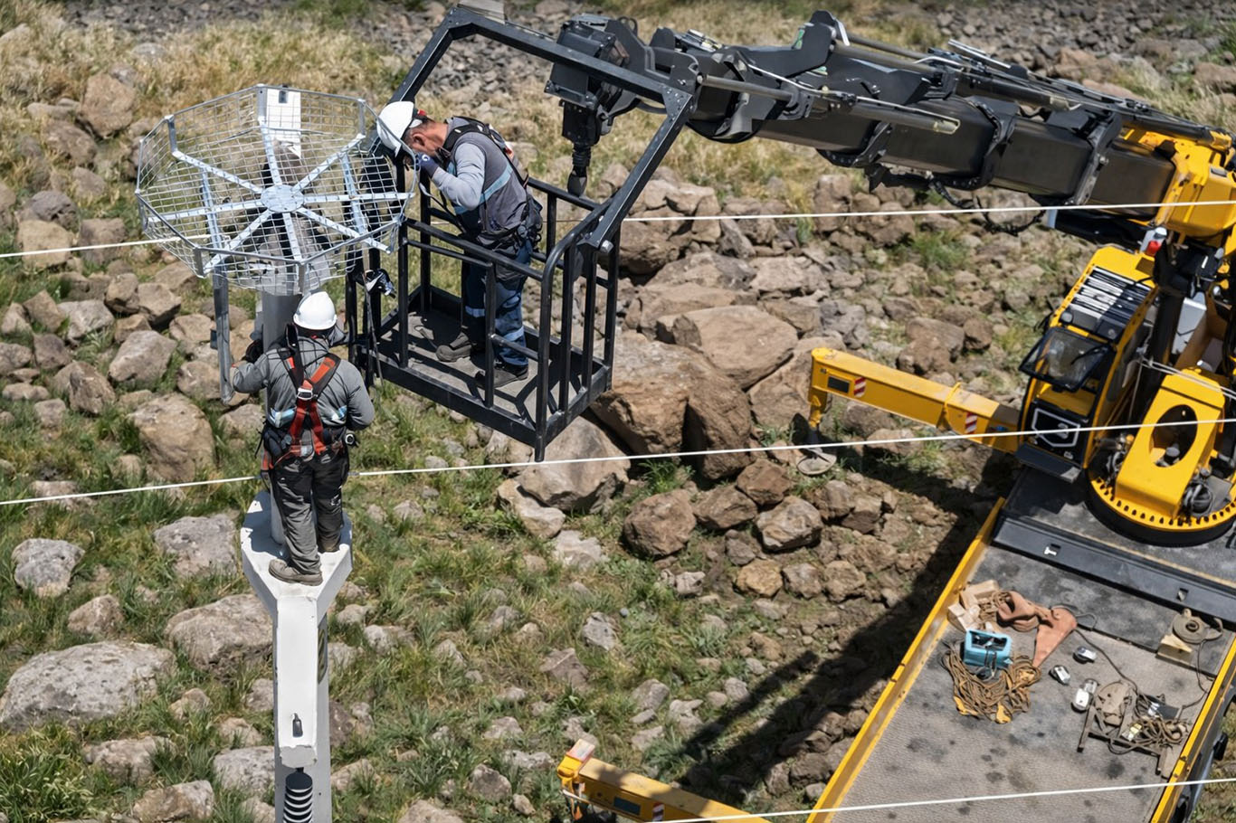 Elektrik direkleri göçmen kuşlar için güvenli yuvalara dönüşüyor