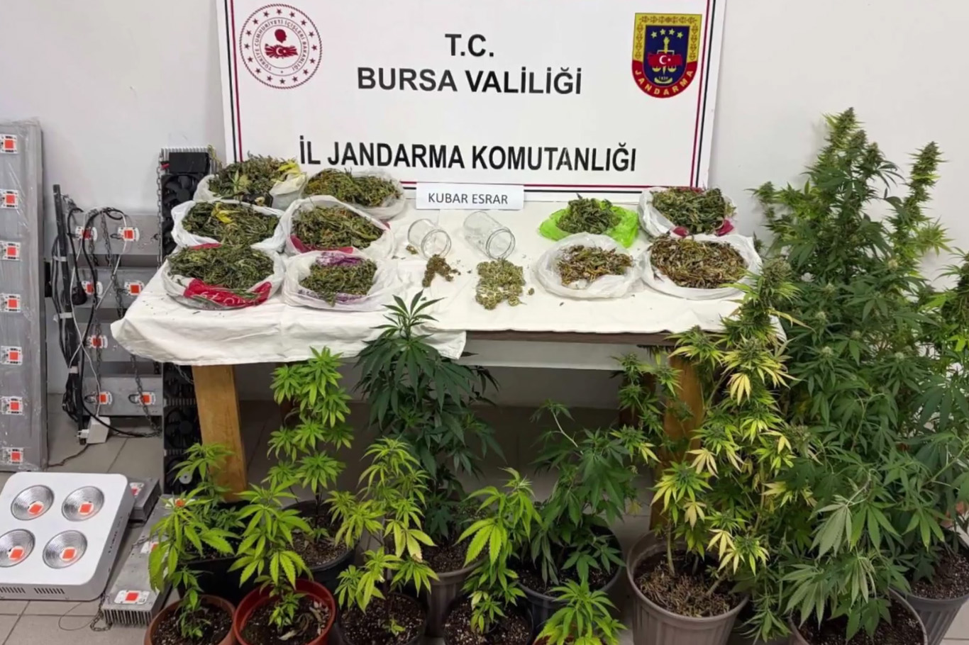 24 ilde uyuşturucu ve yasa dışı kenevir operasyonu: 80 kişi tutuklandı