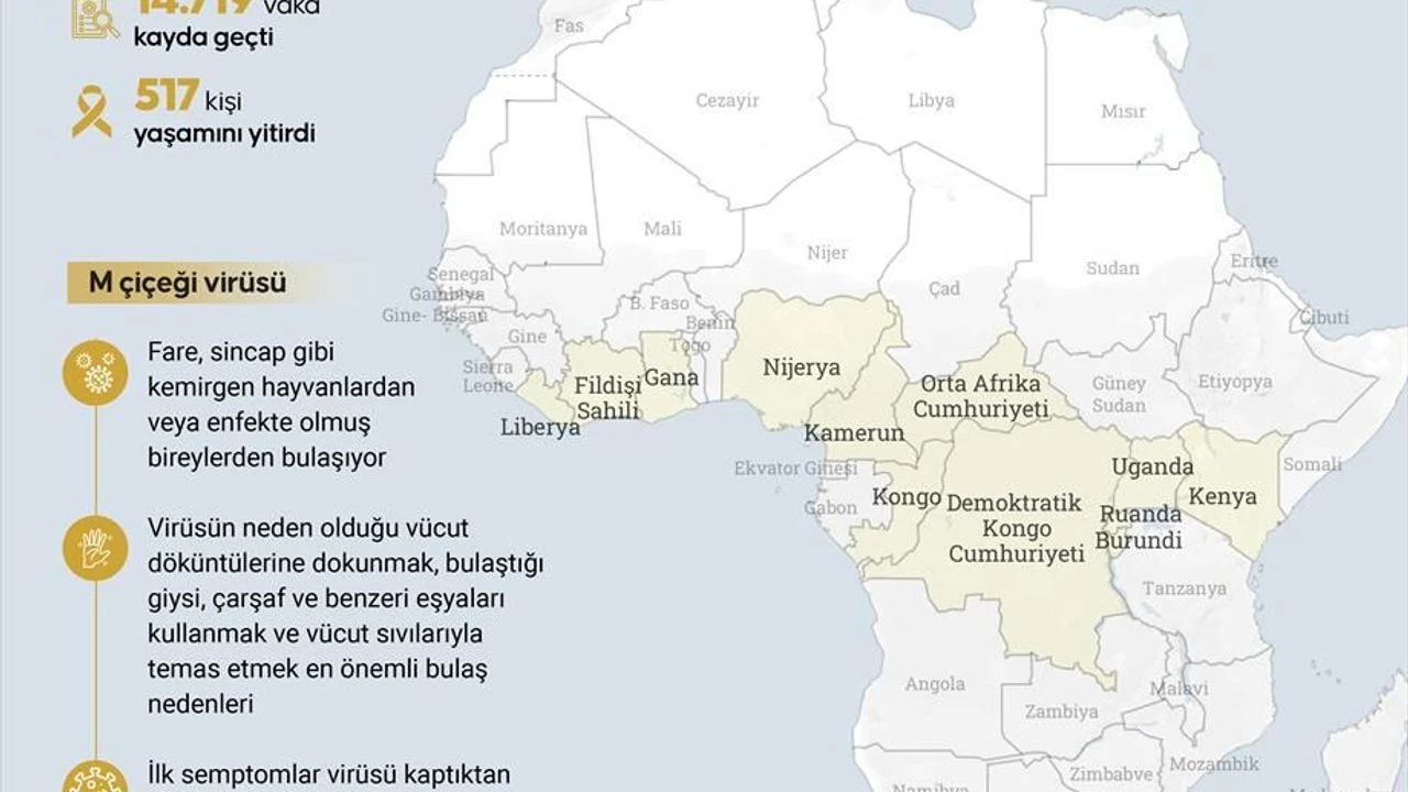 Afrika Kıtası, Hızla Yayılan M Çiçeği Salgınıyla Karşı Karşıya