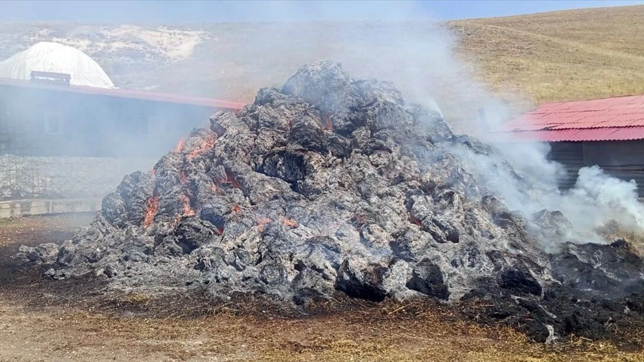 Kars'ta yüzlerce balya ot yandı